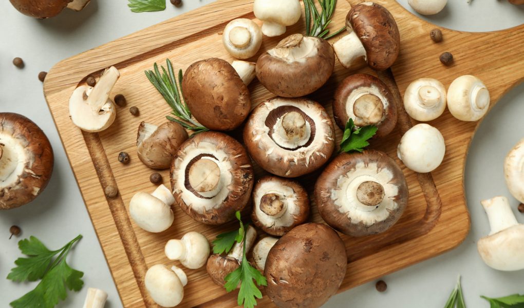 Crostini con crema di funghi