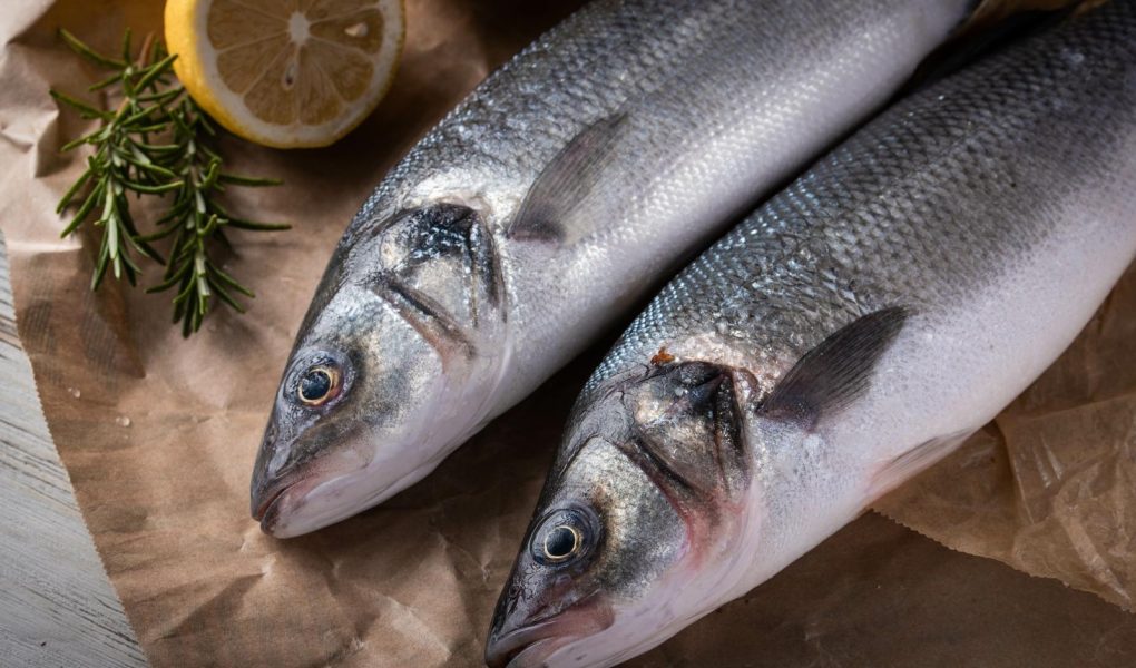 Branzino in padella