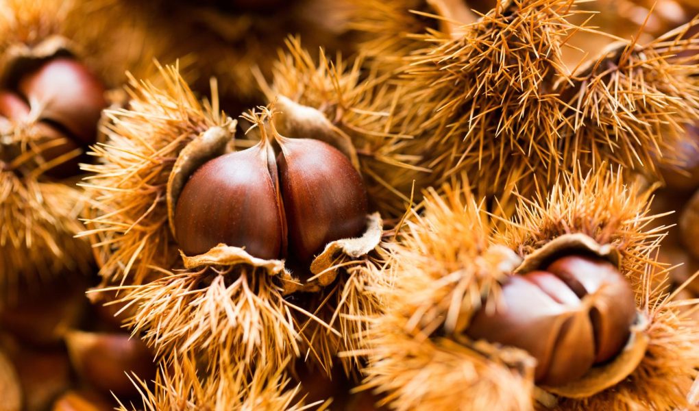 Castagne in friggitrice ad aria