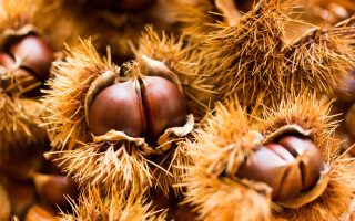 Castagne in friggitrice ad aria