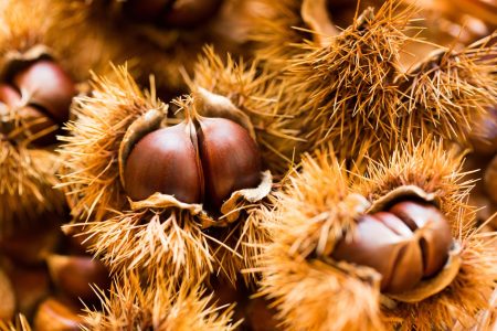 Castagne in friggitrice ad aria
