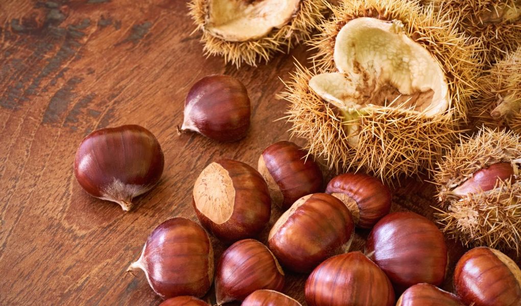 Marmellata di castagne