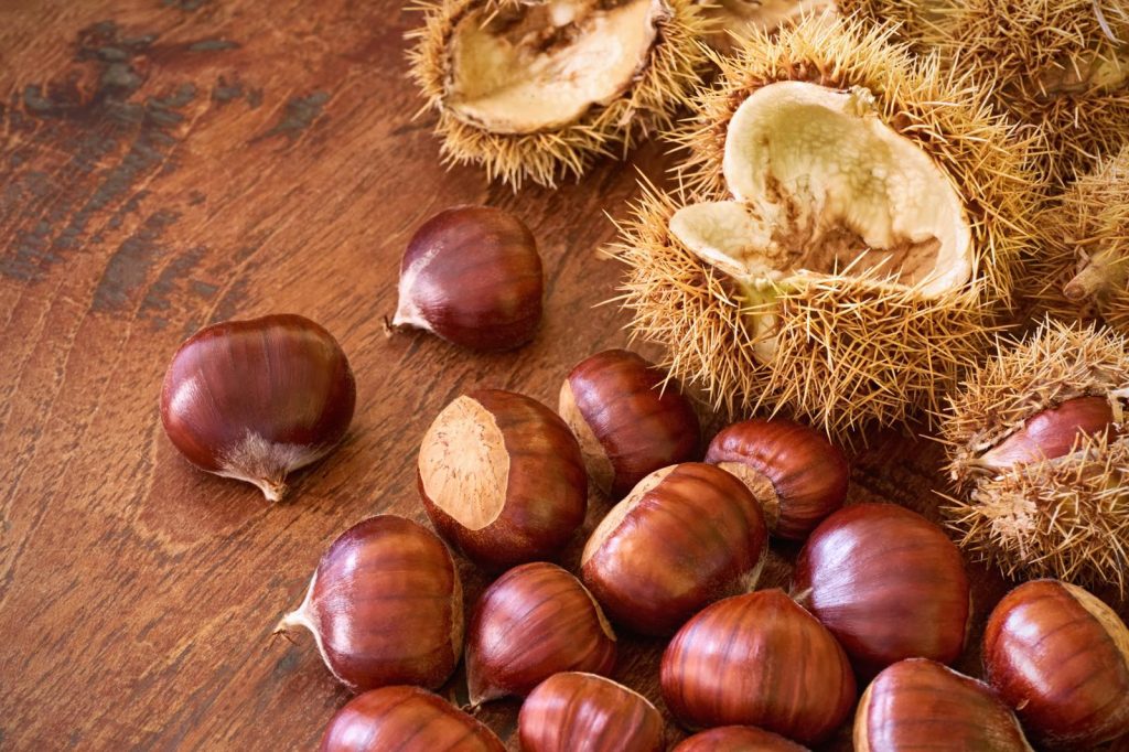 Marmellata di castagne