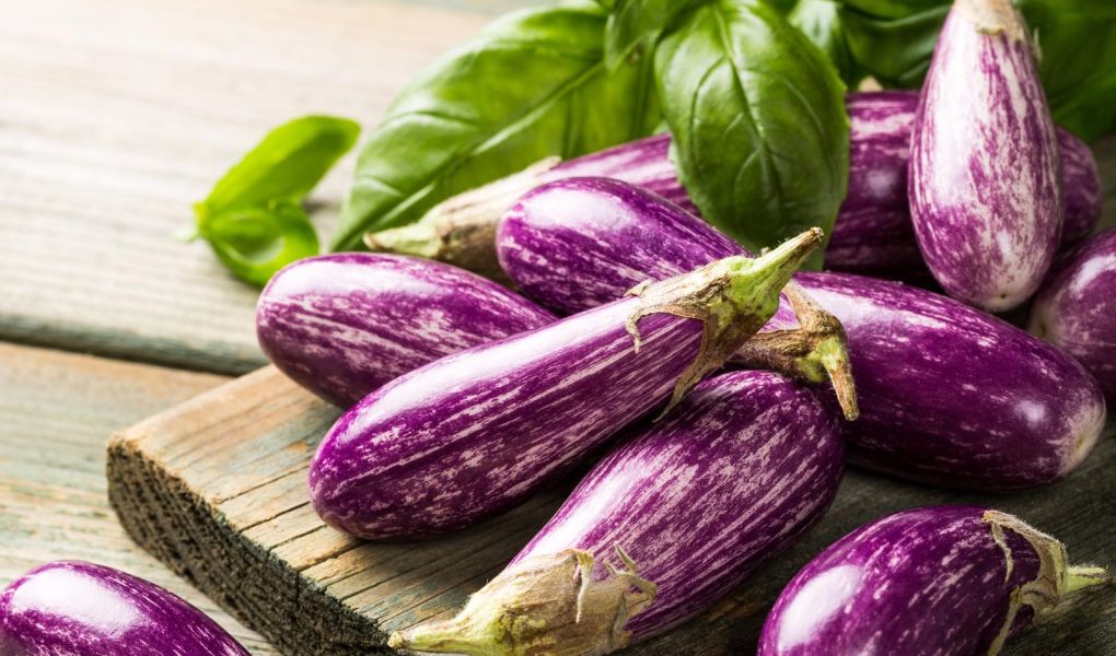 Pesto di melanzane