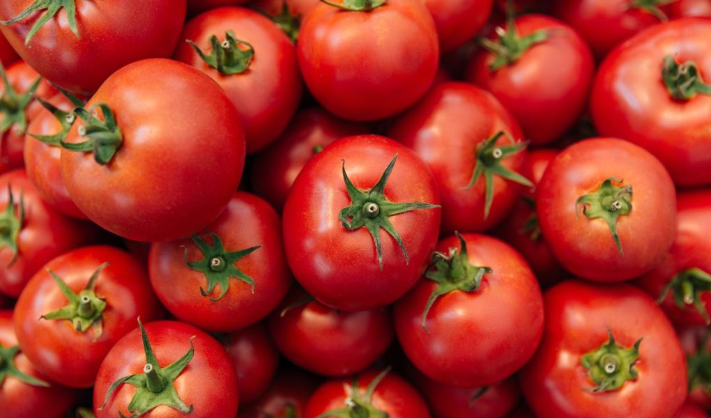 Pomodori gratinati