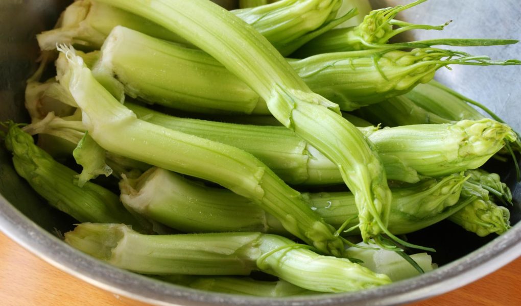 Puntarelle alla romana