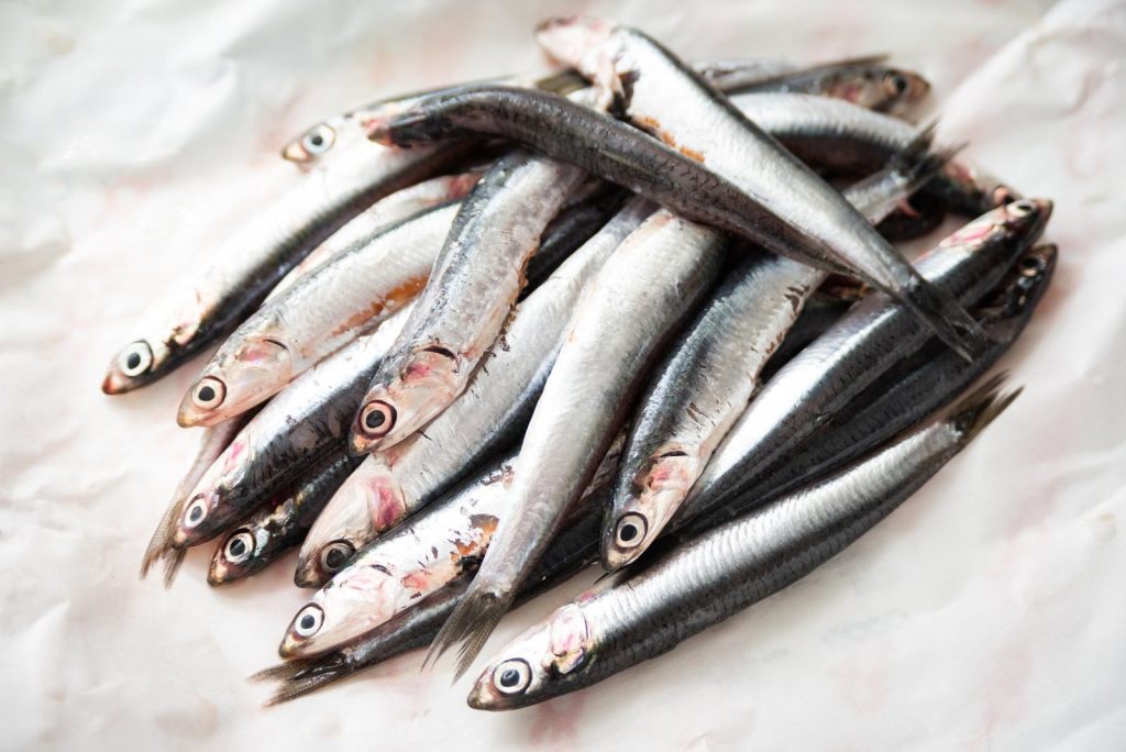 Acciughe marinate