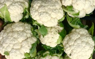 Cavolfiori gratinati