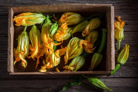 Fiori di zucca in padella