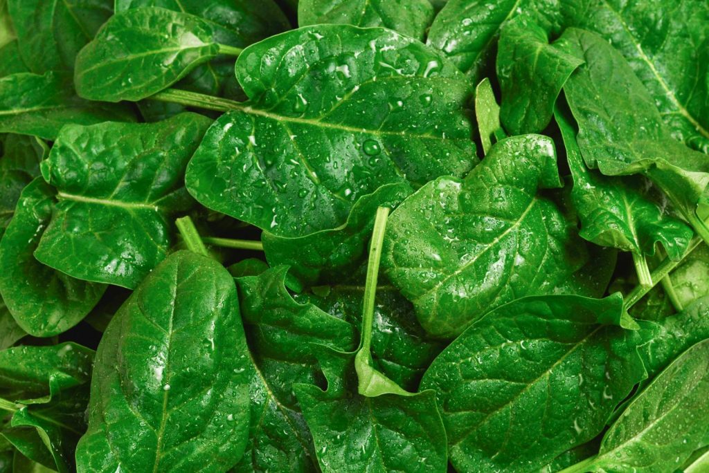 Sformato di spinaci