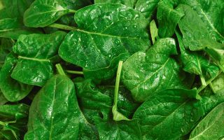 Sformato di spinaci