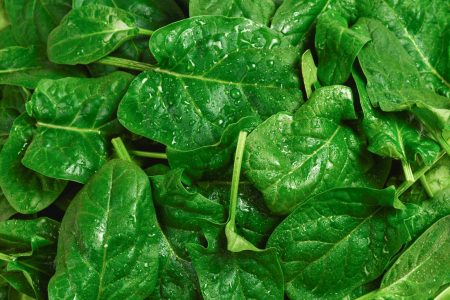 Sformato di spinaci