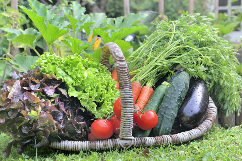 Zucchine ripiene di tonno