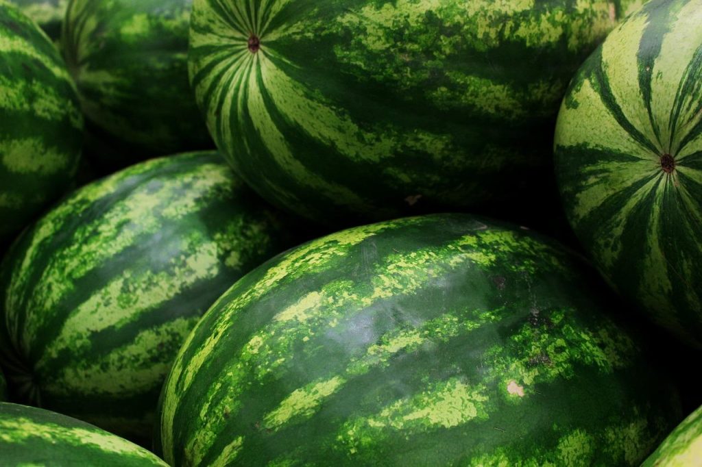 Calorie cocomero