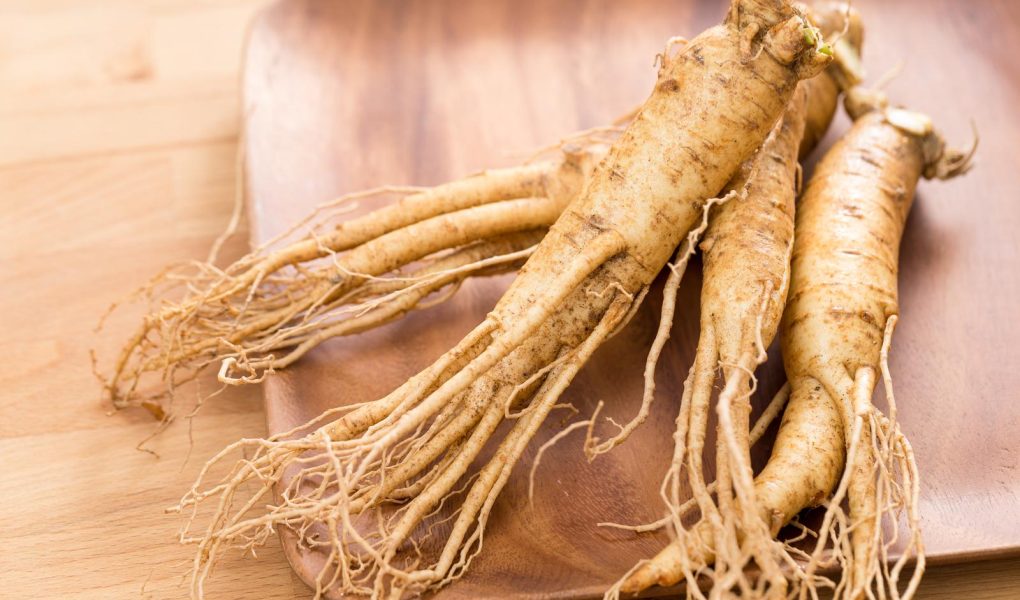 Calorie ginseng