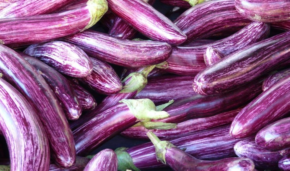 Calorie melanzane