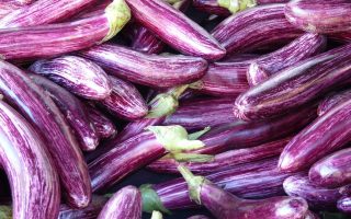 Calorie melanzane