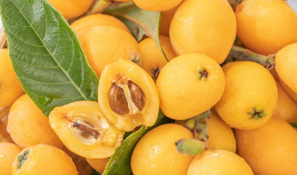 Calorie nespole