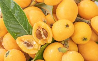 Calorie nespole