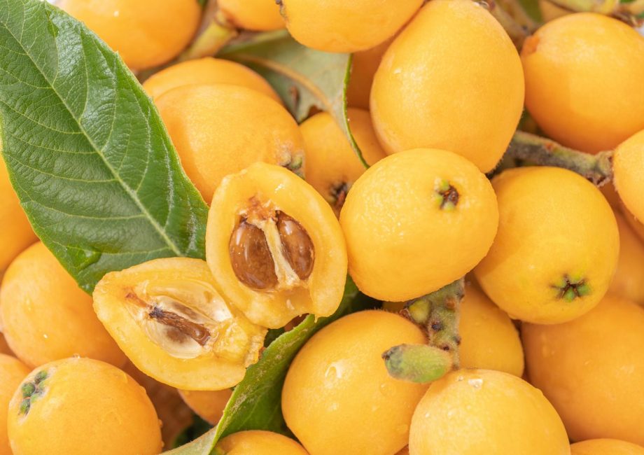Calorie nespole