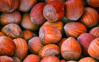 Calorie nocciole