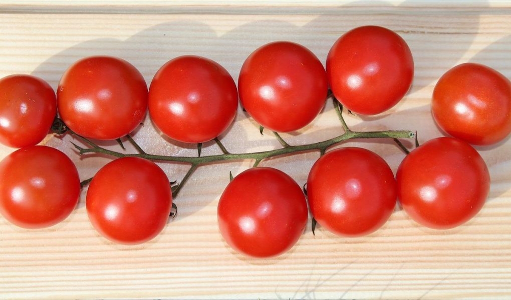 Calorie pomodori