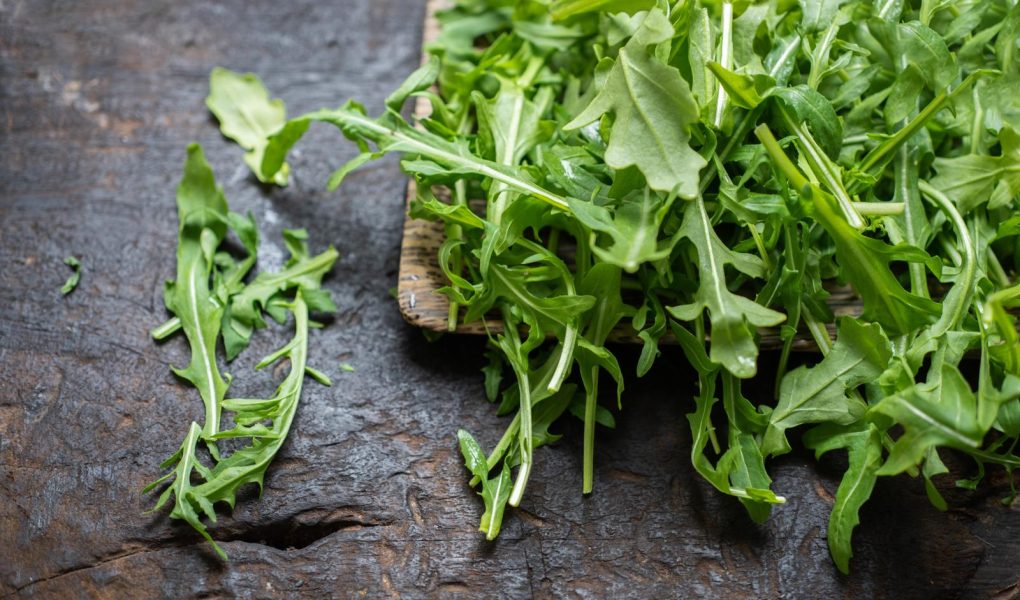 Calorie rucola