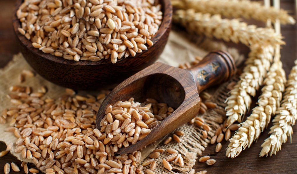 Il farro fa ingrassare?