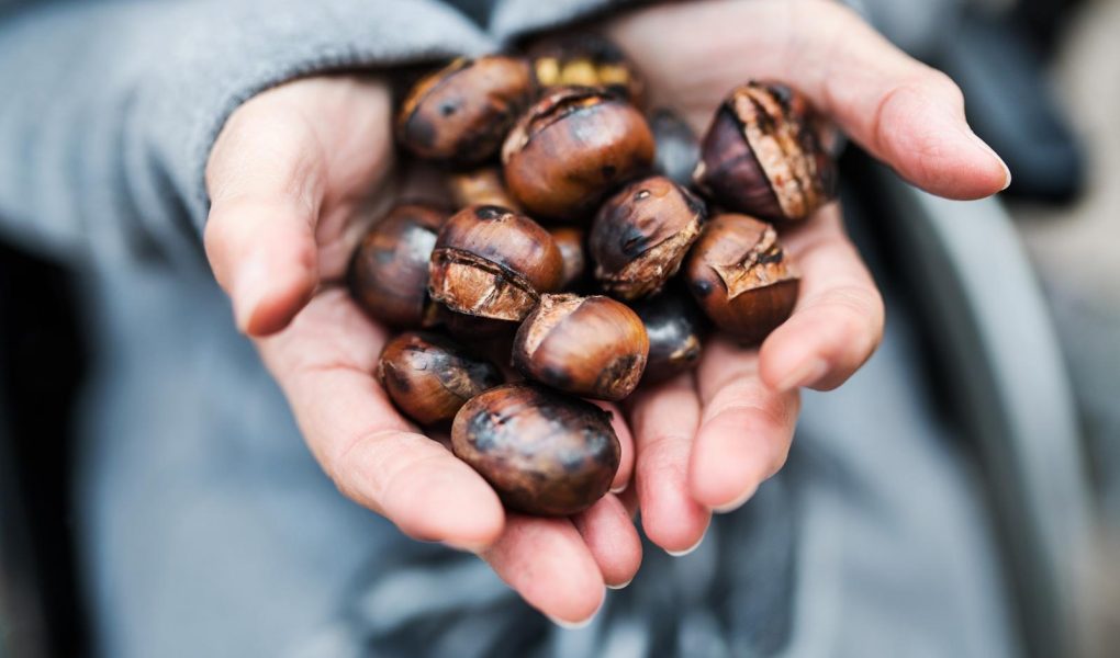 Le castagne fanno ingrassare?