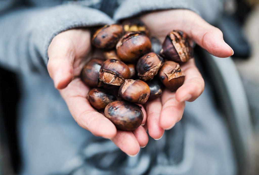 Le castagne fanno ingrassare?