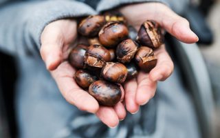 Le castagne fanno ingrassare?
